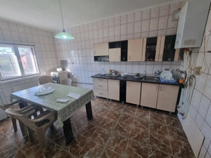 Proprietate cu 2 case și cabană,teren 1202 mp,Băcia,jud.Hunedoara - imagine 8