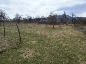 Teren pentru casa sau casa de vacanta - imagine 2