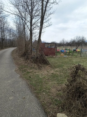 Teren pentru casa sau casa de vacanta