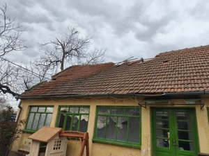 Vand tigla veche  - imagine 3