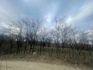 vanzare teren schiulesti prahova