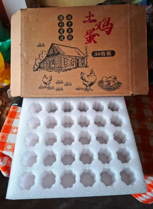 Vand oua incubat Brahma HD - rasa mare - imagine 2