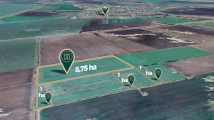 Teren agricol de 11,75 ha de vânzare, la 1,5 km de Turnu, jud. Arad
