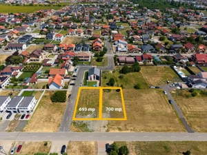 Teren 700 mp  Dumbravita, str. Bucuresti, Persoana juridica - imagine 3