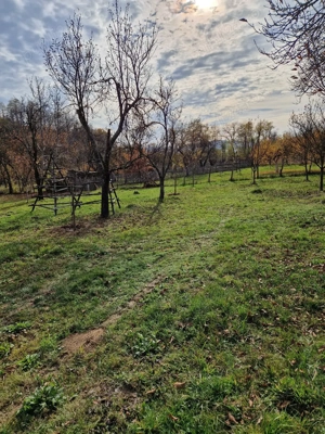 Vând teren extravilan 1170 m pătrați - Albeștii de Argeș 