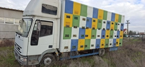 Camion apicol iveco - imagine 4