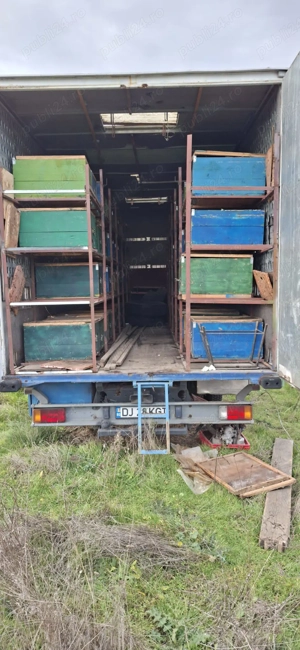 Camion apicol iveco - imagine 6