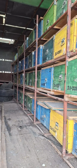 Camion apicol iveco - imagine 10