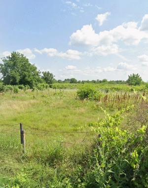 Teren intravilan construibil 1700 mp Ograzile ( Merei) deschidere 30 ml - imagine 2