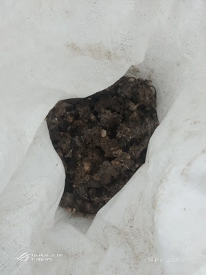 gunoi, găinaț de găini 