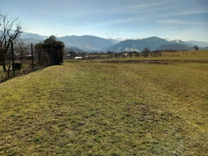 Teren extravilan Tropinii vechi