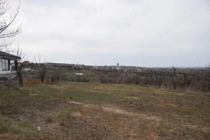 De vanzare teren 2600 Mp,intravilan,Paleu - imagine 2