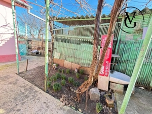 Casa la sol - teren 387 mp - Lumina - imagine 17