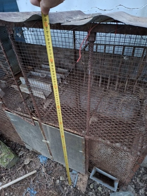 cusca iepuri supra etajata - imagine 4