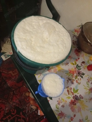 Vând brânză de vacă ai lapte proaspăt . 