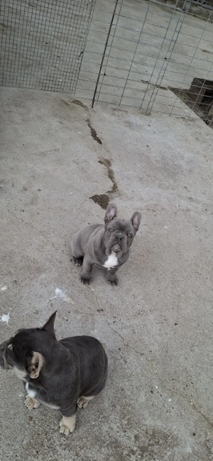 Mascul blue talie mica  - imagine 3