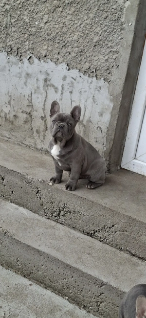 Mascul blue talie mica  - imagine 2