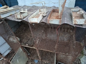 cusca iepuri supra etajata - imagine 5