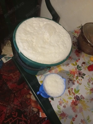 Vând brânză de vaca