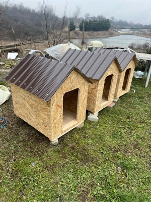 Vand cotet caine - orice dimensiune la cerere - imagine 5