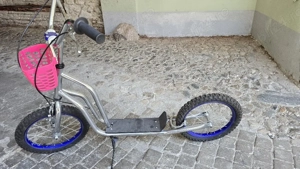 trotineta cadru Inox