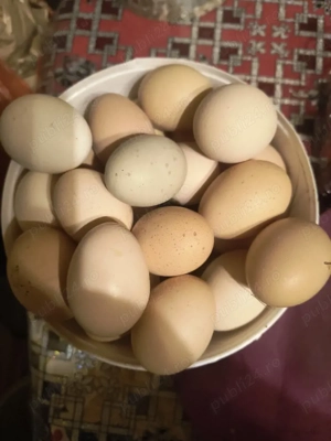 ouă de găină. - imagine 2