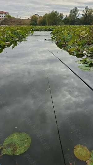 Casa plus teren Tancabesti lacul snagov - imagine 4