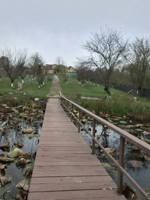 Casa plus teren Tancabesti lacul snagov - imagine 6
