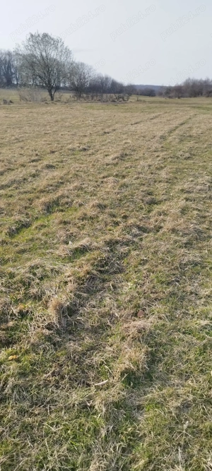 Teren Gilău zona Capana