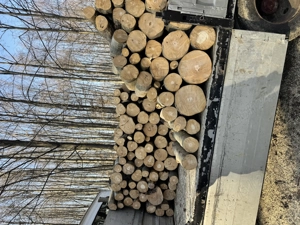 Sc vinde lemne de foc. Fag Carpen stejar. Livrare în Argeș. Preț avantajos.