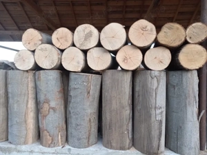 Vând lemne de foc!!!