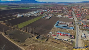 FILM! 30.000mp teren intravilan, Central, Halchiu, Brasov - imagine 2