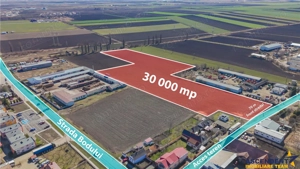 FILM! 30.000mp teren intravilan, Central, Halchiu, Brasov - imagine 3