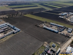 FILM! 30.000mp teren intravilan, Central, Halchiu, Brasov - imagine 5