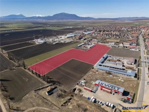 FILM! 30.000mp teren intravilan, Central, Halchiu, Brasov - imagine 6