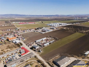 FILM! 30.000mp teren intravilan, Central, Halchiu, Brasov - imagine 4