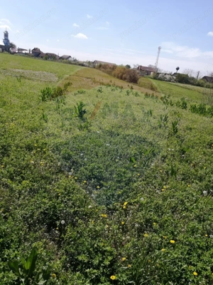 De vânzare teren intravilan, 6574 mp în Leș - imagine 6