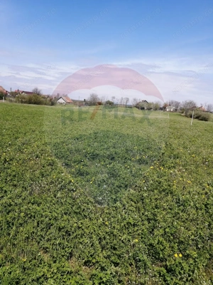 De vânzare teren intravilan, 6574 mp în Leș - imagine 4