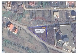 Teren intravilan de vânzare, 11.600 mp –Paleu, județul Bihor