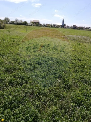 De vânzare teren intravilan, 6574 mp în Leș - imagine 3