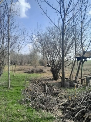 Casă de vânzare cu teren suprafață 5000 m  - imagine 4