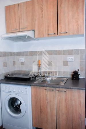 Garsoniera de inchiriat, zona Complexul Studentesc, Timisoara - imagine 3
