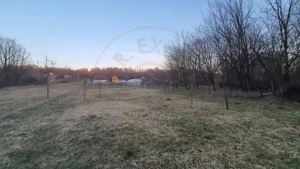 Teren intravilan pentru Casa de Vacanta - Mosoaia -Basangesti - imagine 4