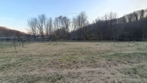 Teren intravilan pentru Casa de Vacanta - Mosoaia -Basangesti - imagine 6