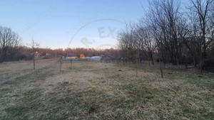 Teren intravilan pentru Casa de Vacanta - Mosoaia -Basangesti - imagine 7