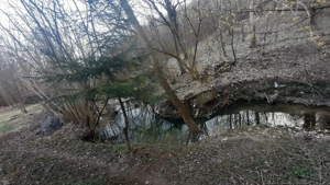 Teren intravilan pentru Casa de Vacanta - Mosoaia -Basangesti - imagine 5