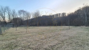 Teren intravilan pentru Casa de Vacanta - Mosoaia -Basangesti - imagine 3