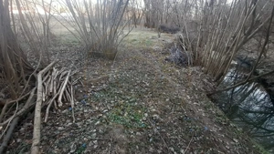 Teren intravilan pentru Casa de Vacanta - Mosoaia -Basangesti - imagine 8