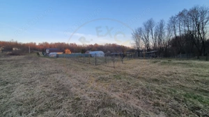 Teren intravilan pentru Casa de Vacanta - Mosoaia -Basangesti - imagine 2