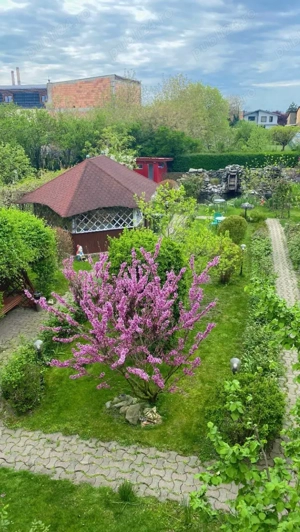 Angajăm Cameristă   Pensiunea Delia (perioadă determinată)  - imagine 3